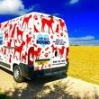 Mobile Dog Grooming Van Standalone Conversion