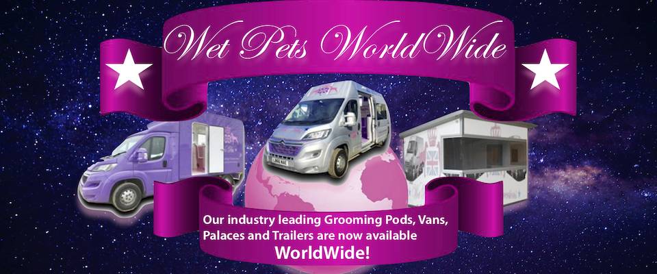 International Van Conversions